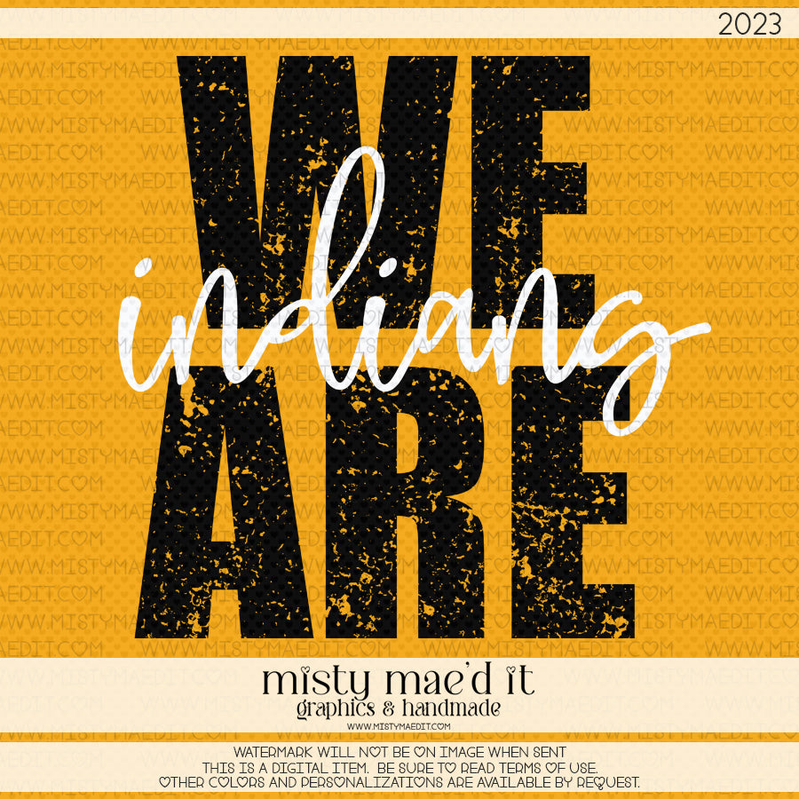 We Are Indians