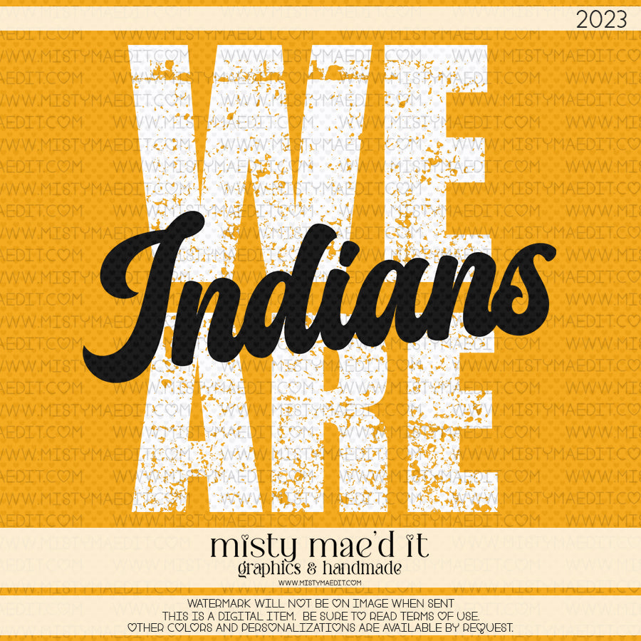 We Are Indians 2